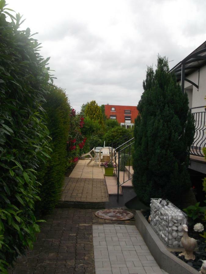 Eguisheim village préféré des français grand studio Exterior foto
